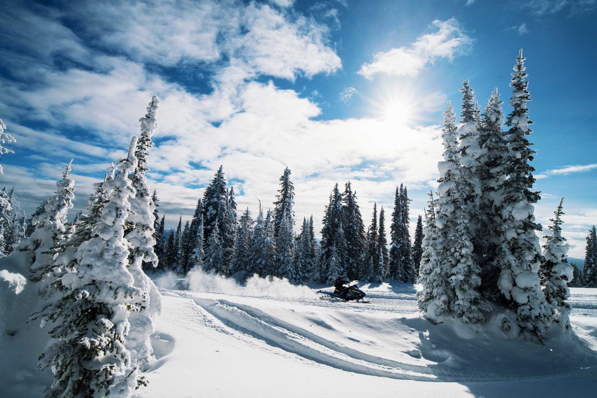 Snowmobile in a snowy forest on a sunny day