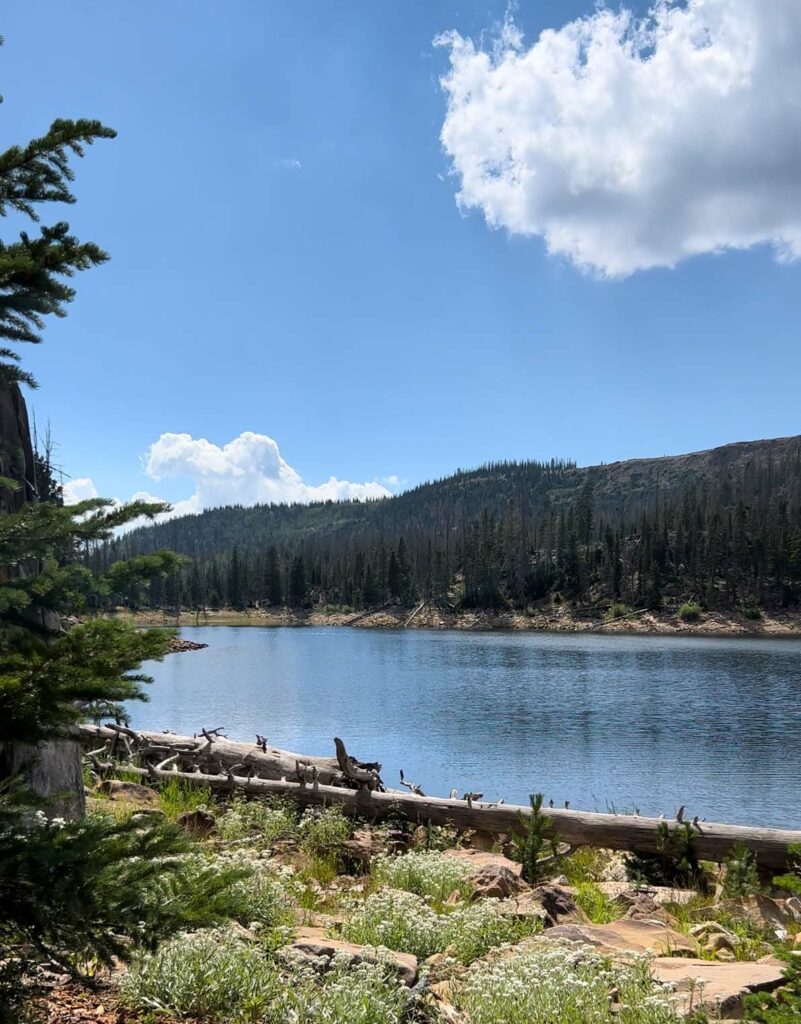 utv atv trails uinta rental