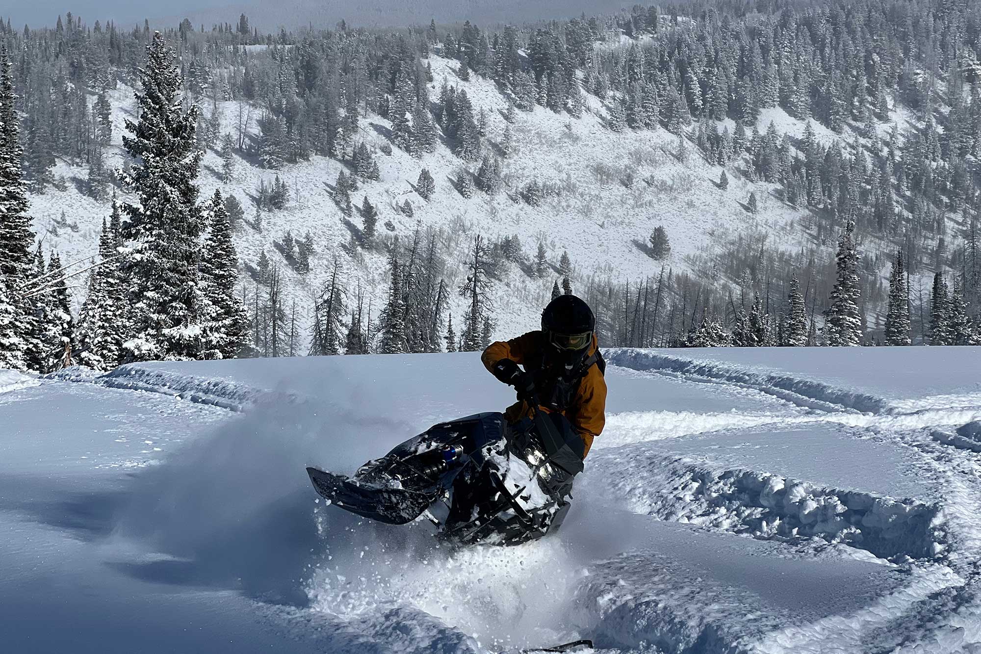 Adventure Awaits: Guided Backcountry Snowmobiling Experience