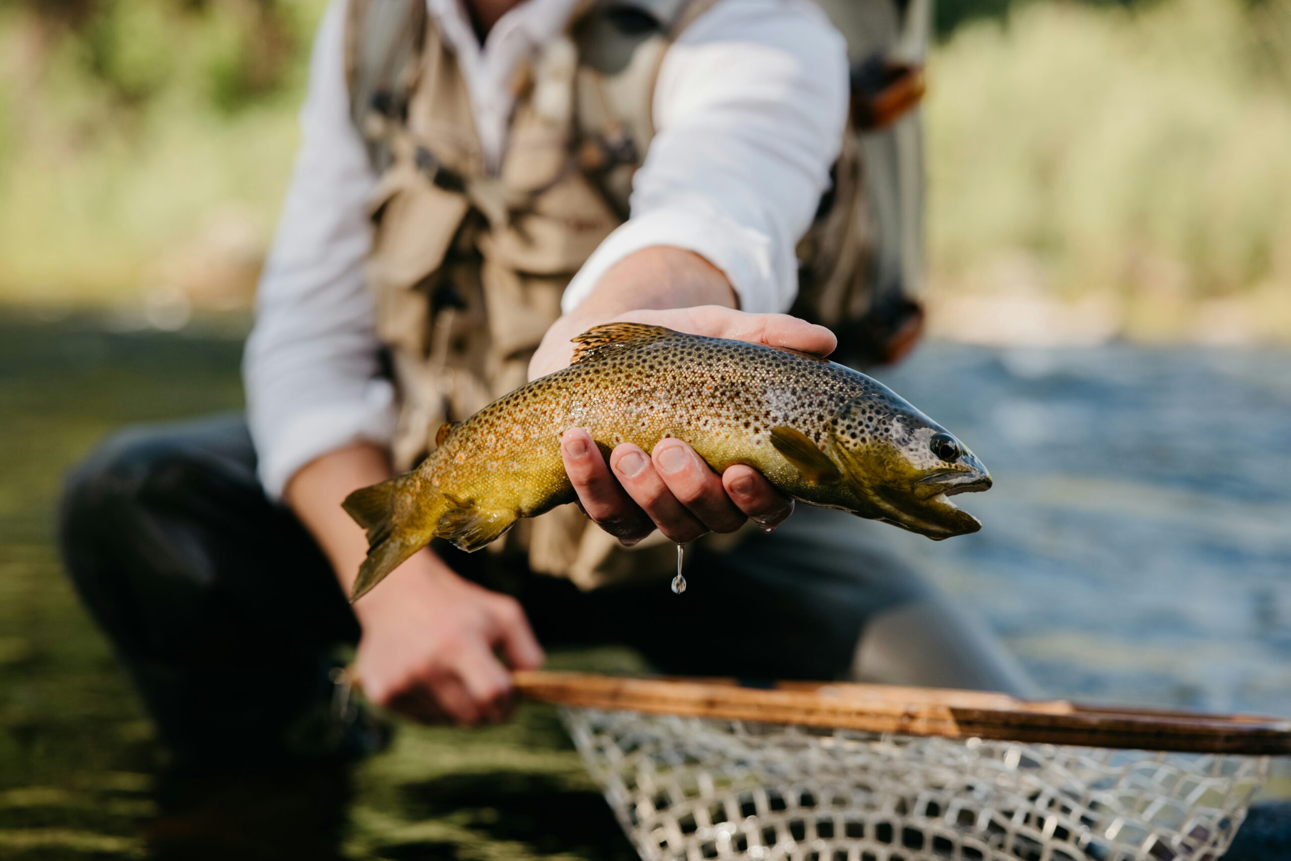 Fishing